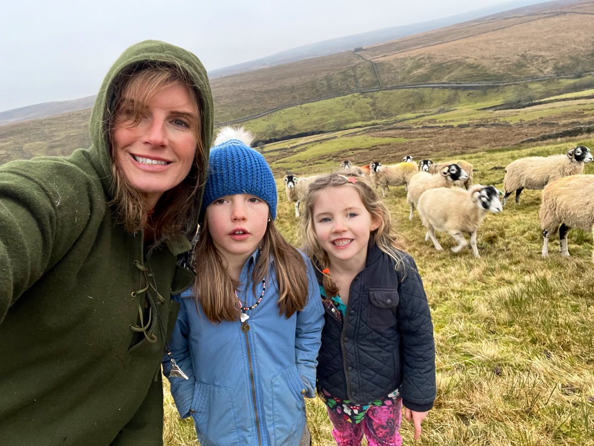 YorkshireShepherdess tweet media