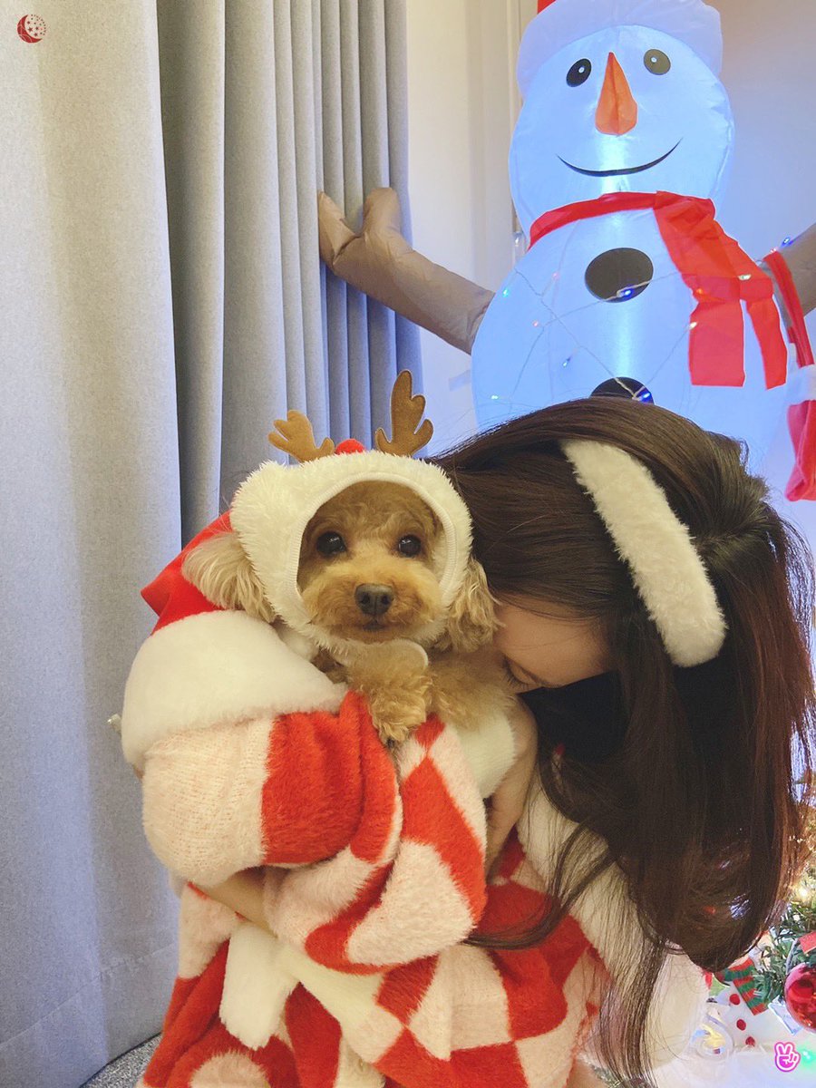 chtapes's tweet photo. merry christmas, byuls! 🎄💗 https://t.co/yNue1UGBqr