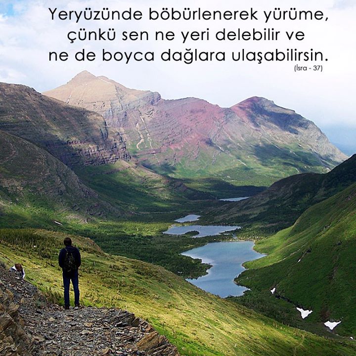 tekayet tweet picture
