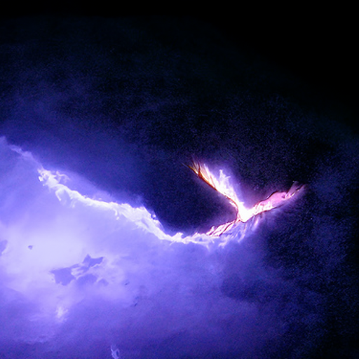 Phoenix_Emblem's tweet photo. On top of that,
We are proud to announce that we will be teaming with our Bunker pal @ComputerCrypto + his frens to release a #NFTcollection called "Phoenix Effect: Ria" which are a-i generated art!
100% of the proceeds will go the victims of #OdettePH 
More info soon!
+smol leek https://t.co/4CDklWzmgK
