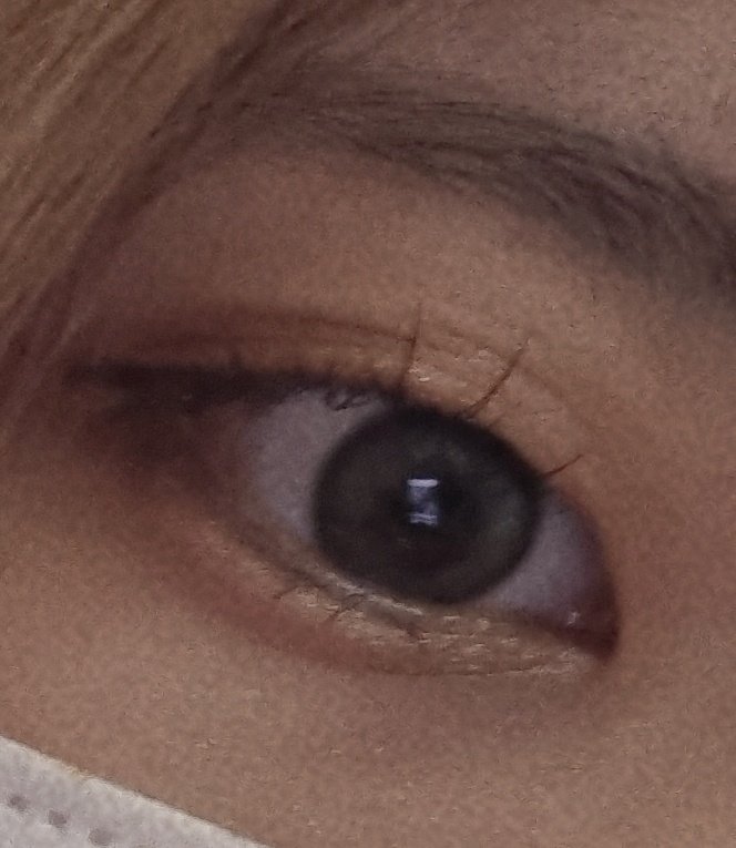 gochu_hunter's tweet photo. 피곤해서 쌍꺼풀 사라짐..
그래도 칭구하실분

#섹트 https://t.co/QlcXfqedLb