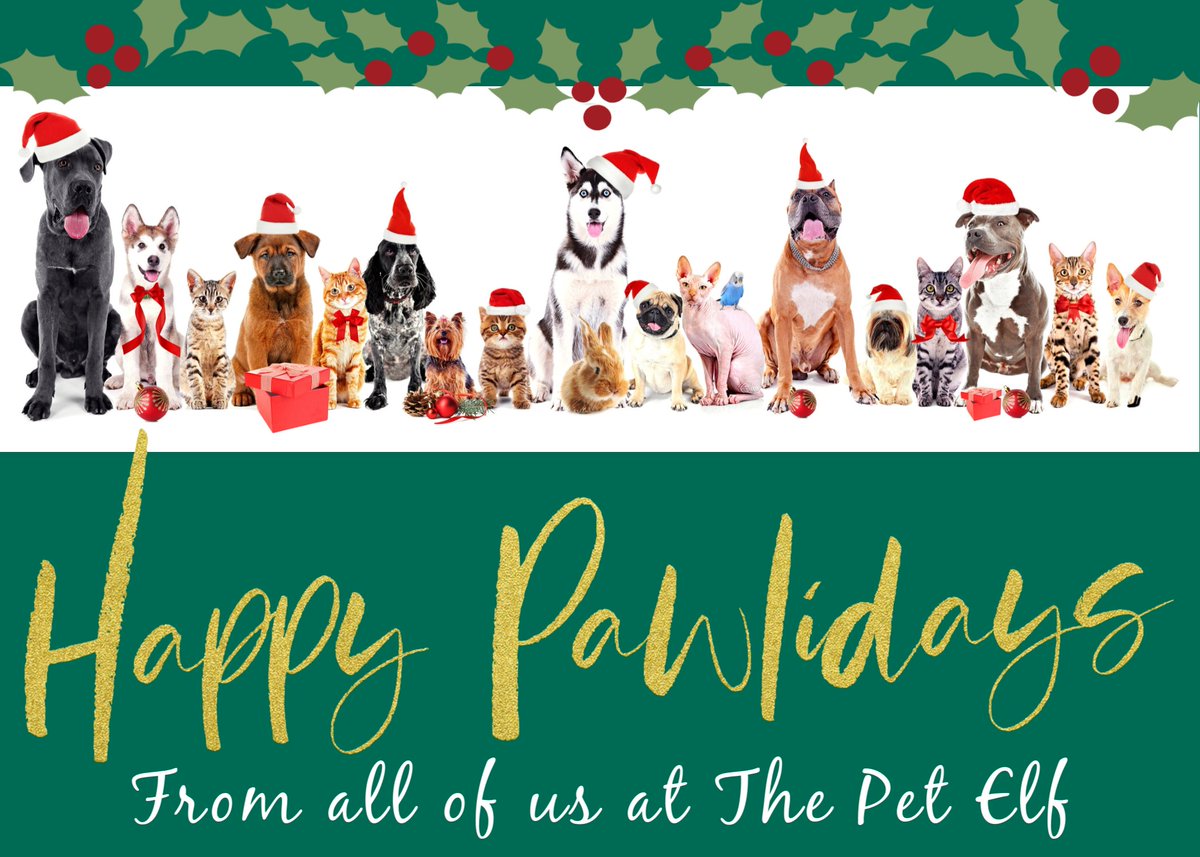 PetElf's tweet photo. Merry Christmas and Happy Holidays to you and yours. May 2022 be a happy and healthy New Year! https://t.co/2gLve8d49i