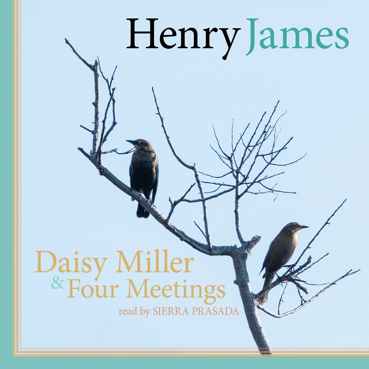 hisierrafim's tweet photo. We came upon this aloof couple while wandering through Jamaica Bay one year ago. We weren’t sure what they were (rusty blackbirds?) but we knew they were special. We followed them and they led us here… Learn more: https://t.co/W0eMhPJFjn #henryjames #audiobook #daisymiller https://t.co/k3NfBEGVz5