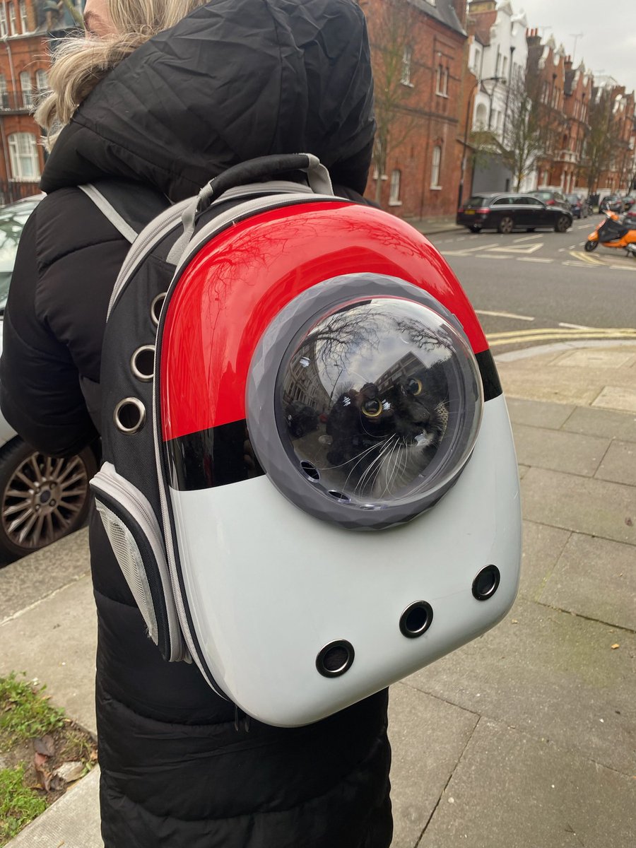 Cristina Criddle tweet media