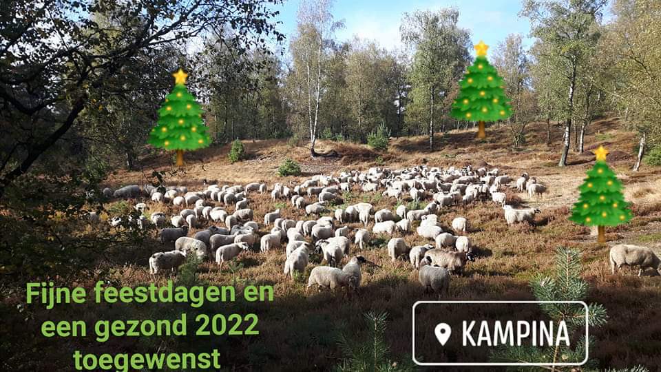 Schaapherder Boris tweet media