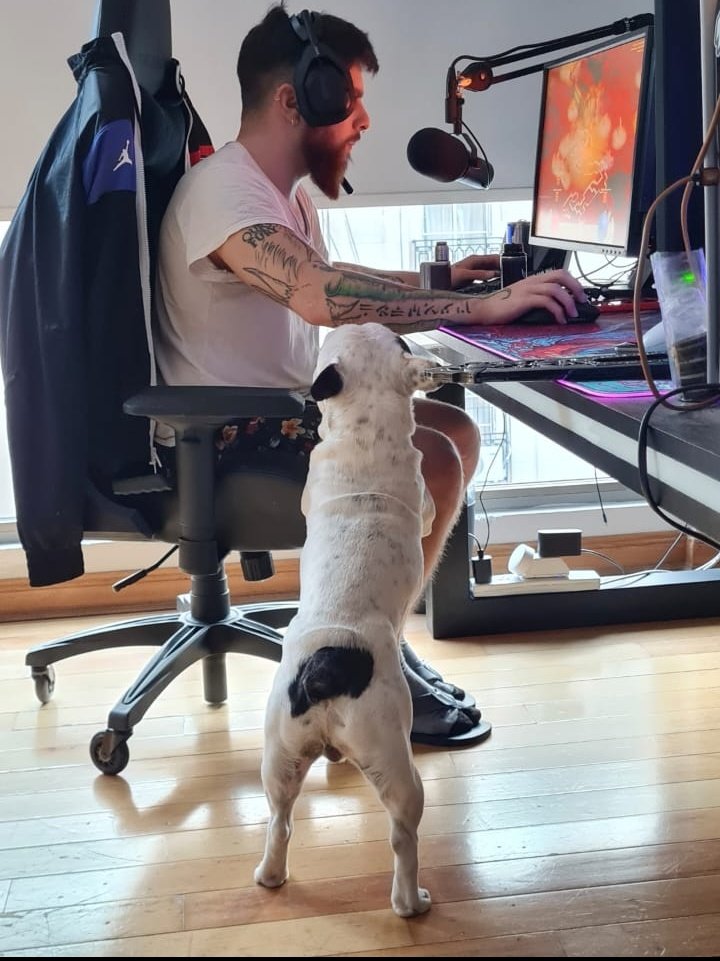 Estas fiestas no tires pirotecnia, jugá a los jueguitos 🐶💜