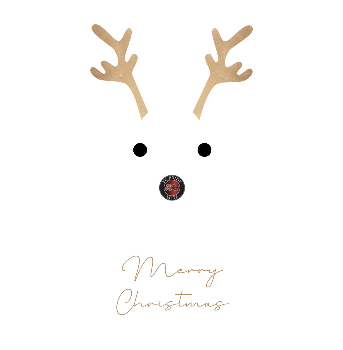 FC Pride Elite Girls ECNL tweet media