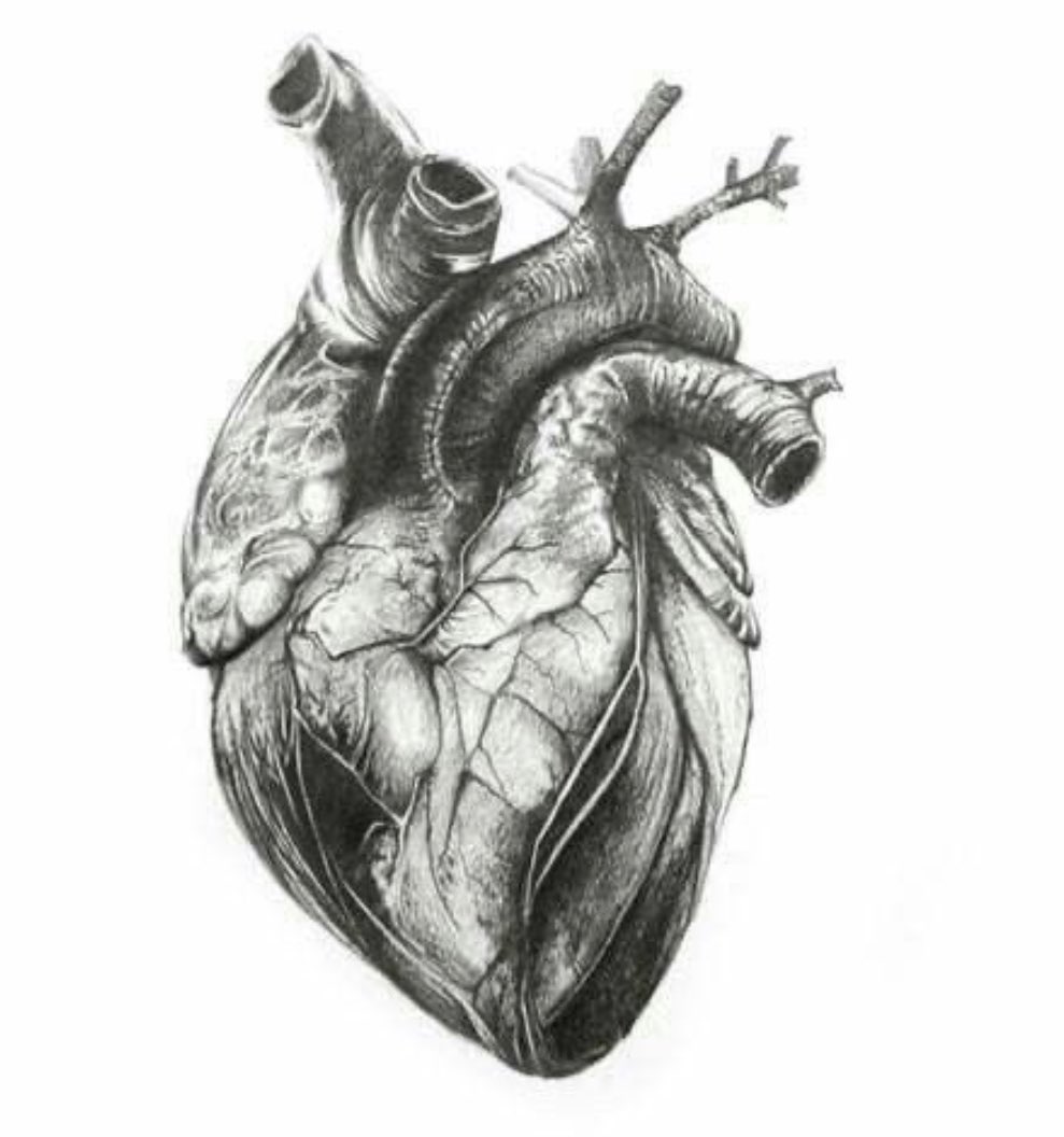 bex794's tweet photo. After an amazing 17years in cardiology @AneurinBevanUHB it’s time for a change - here’s to a new exciting adventure @GoughCJ @UHWCriticalCare https://t.co/osc0vmFbZS