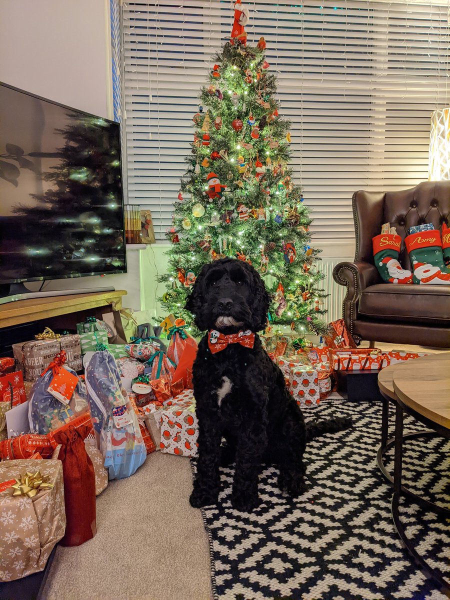 Merry Christmas 🎅🎄🎁 #mysnowpeopleareupsidedown