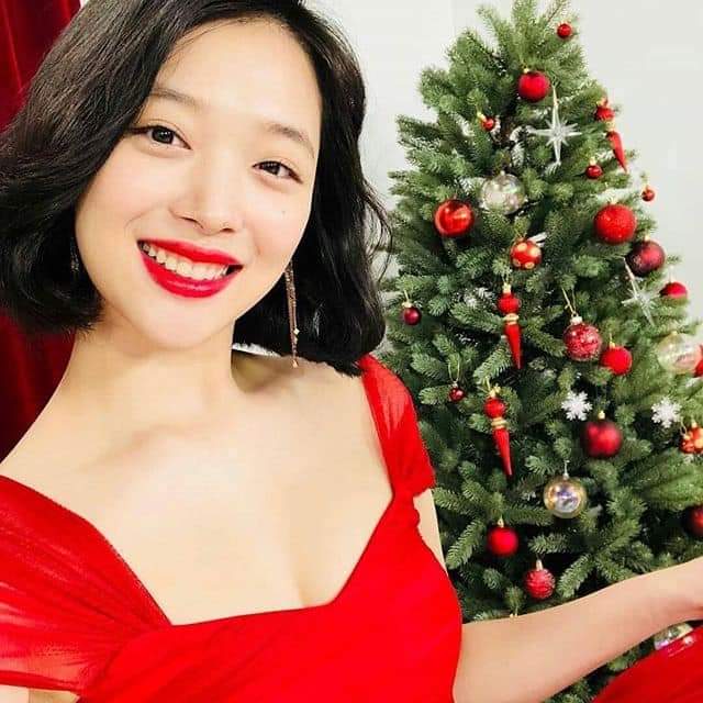 Merry Christmas from Sulli!