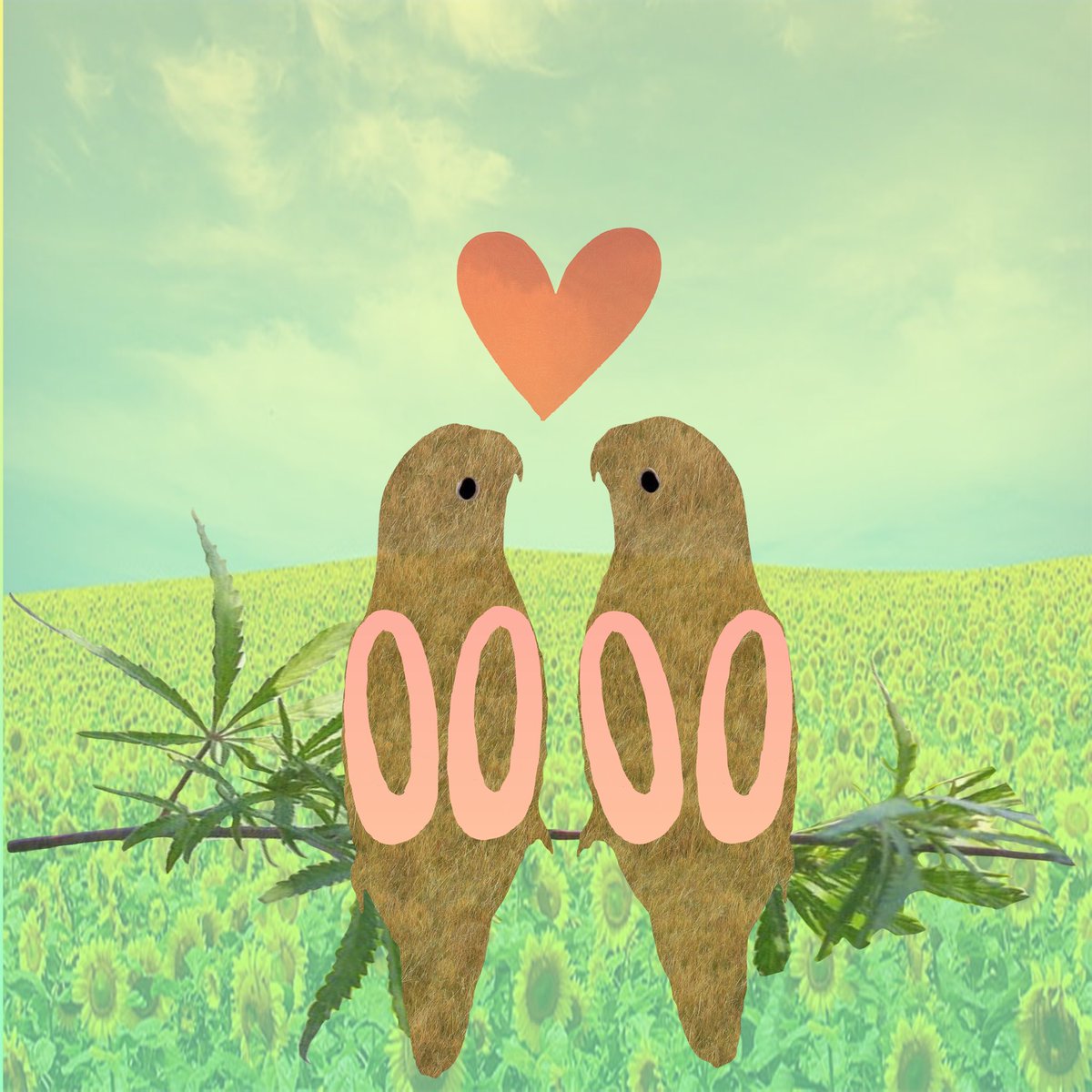 loucoinbit's tweet photo. Afternoon #NFTCommunity and Happy #ChristmasEve to those that celebrate. #2boaf #nfts #lovebirds #nft https://t.co/jfnSbQ46z1