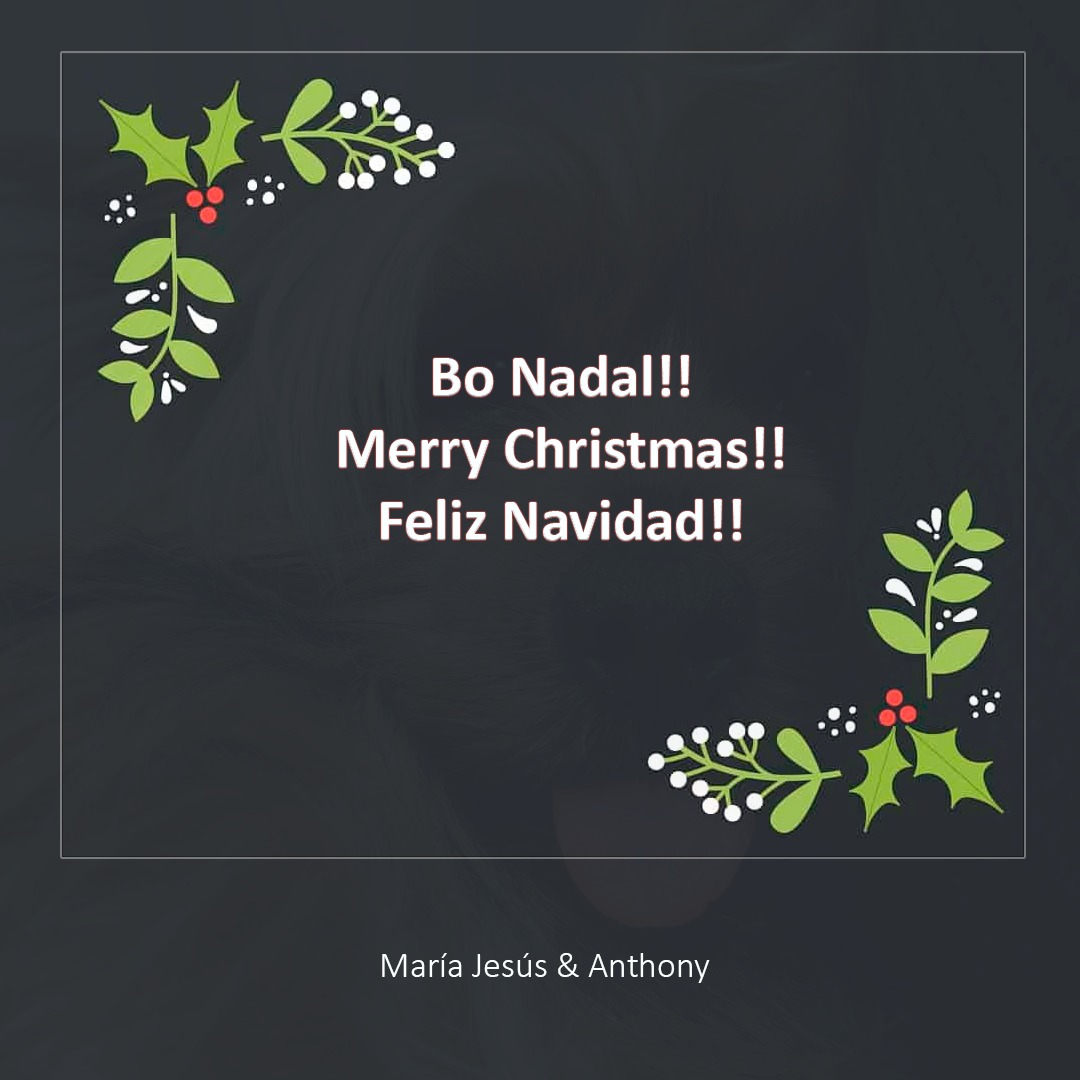 AnthonyDSaunder's tweet photo. #BoNadal #FelizNavidad #MerryChristmas https://t.co/8wXNdBXZ38