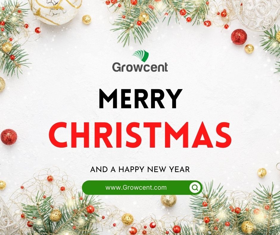 Growcent1's tweet photo. 𝗕𝗲𝘀𝘁 𝘄𝗶𝘀𝗵𝗲𝘀 𝘁𝗼 𝘆𝗼𝘂 𝗮𝗻𝗱 𝘆𝗼𝘂𝗿 𝗳𝗮𝗺𝗶𝗹𝘆 𝘁𝗵𝗶𝘀 𝗖𝗵𝗿𝗶𝘀𝘁𝗺𝗮𝘀. 🎅 🎄 

Merry Christmas and Happy New Year!

From Growcent.

Visit us at https://t.co/poQ5gwFFtI

#happyholidays #christmasideas #xmastime #family #itr #tax https://t.co/uK8zSxKNK9