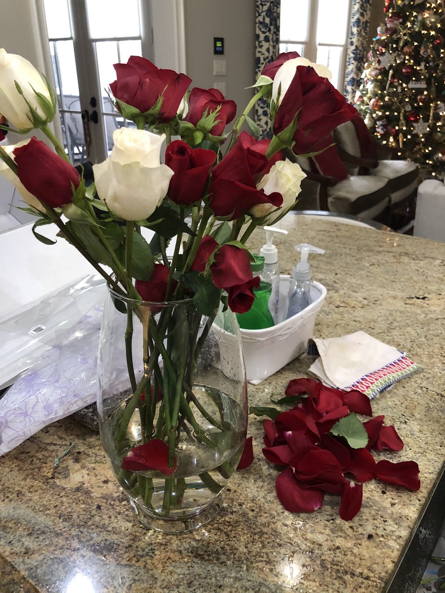 SarahEGarrison's tweet photo. @1800flowershelp My friend tried to send me a lovely bunch of roses, but this is what I got instead. I trimmed the stems, but the leaves and petals (and in one case the entire rose) fell as I was unwrapping. Not impressed. https://t.co/f4RqTIqb1P