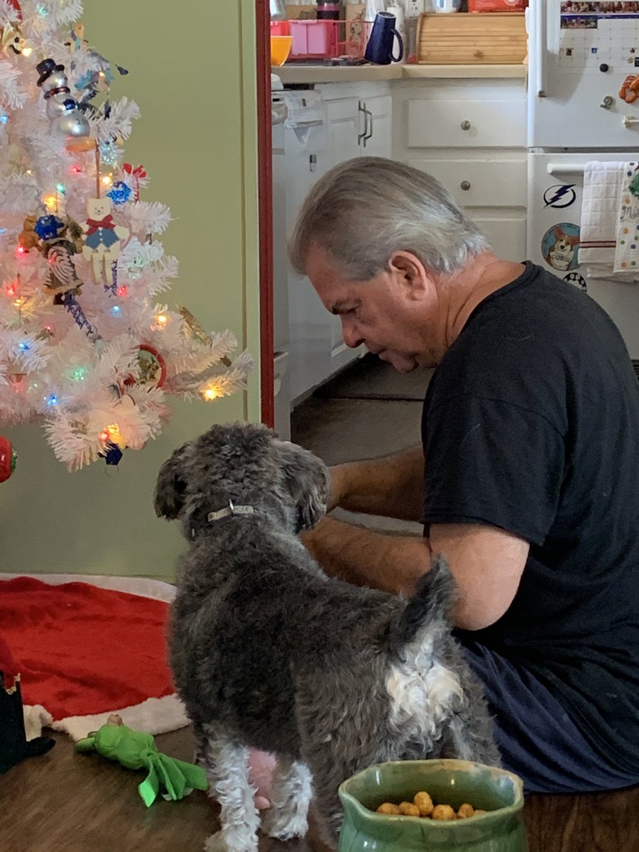 Joey enjoying his Christmas presents on Christmas Eve. He loved the cookies from <a href="/luna_rescue_dog/">Luna</a>