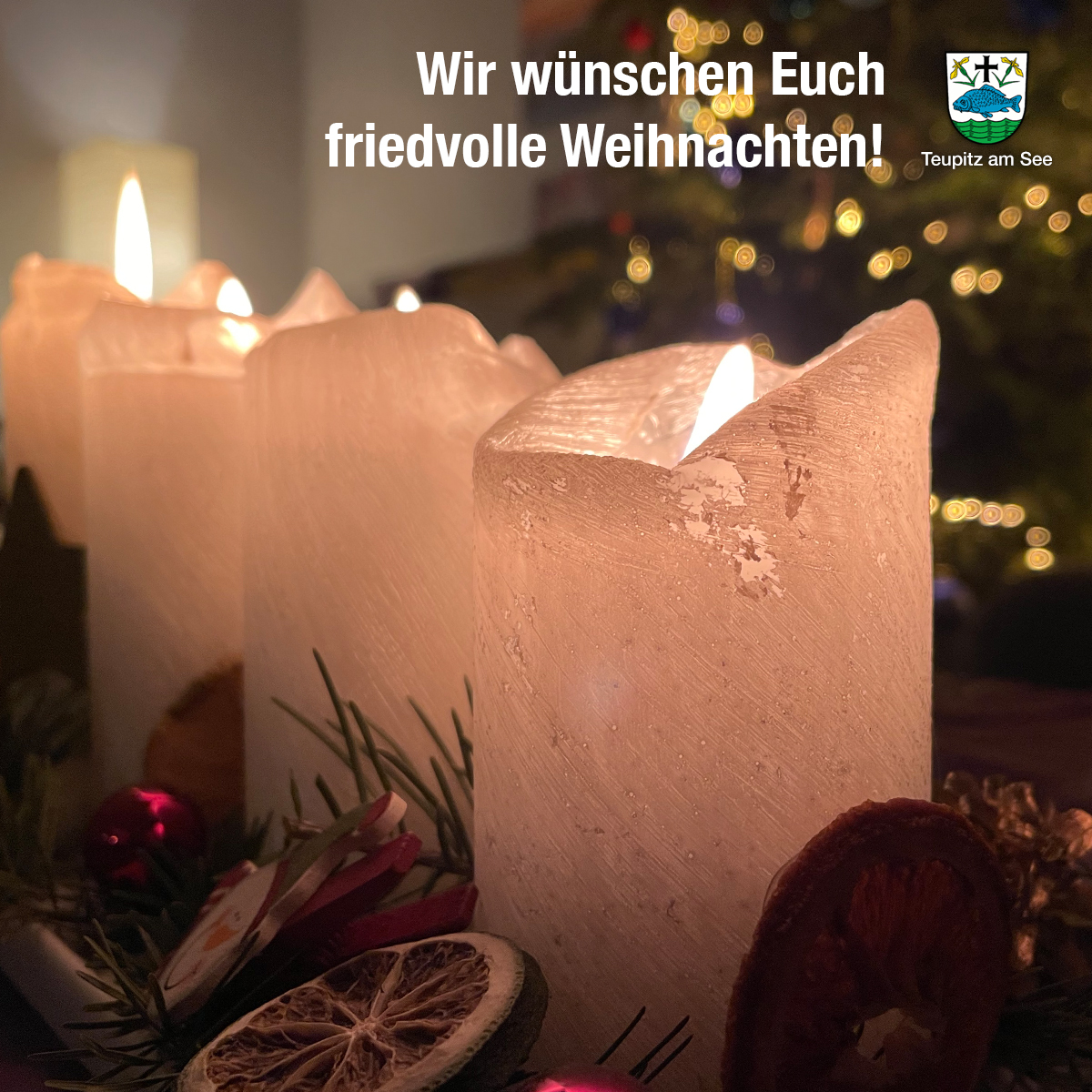 stadt_teupitz's tweet photo. Ein frohes und besinnliches Weihnachtsfest und Frieden auf der ganzen Welt! 🌲🎅🏻✌🏻

#stadtteupitz #teupitzamsee #landbrandenburg #eskannsoeinfachsein #weihnachten #weihnachten2021 #Christmas #PeaceOnEarth https://t.co/6frROLn2g4