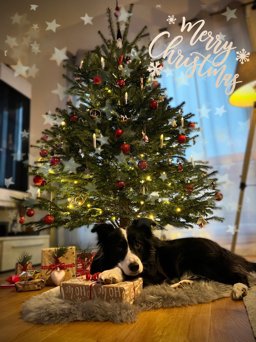 Frohe Weihnachten euch allen 🎅🏻🎄🎁
Genießt mal die Ruhe und die Feiertage.
Lasst es euch gut gehen.