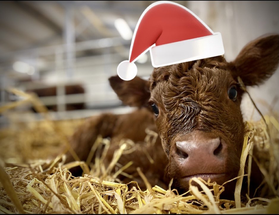 Niall Hunt tweet media