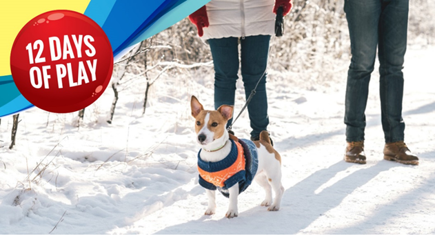 PLAYBruceGrey's tweet photo. Day 4: It's Christmas Eve... Go for a winter hike on the regions amazing trail network! Join one of the local Bruce Trail clubs for a winter hike on the iconic and scenically beautiful Bruce Trail. #12DaysofPlay
https://t.co/sl607KhndL https://t.co/UdswUBmTAt