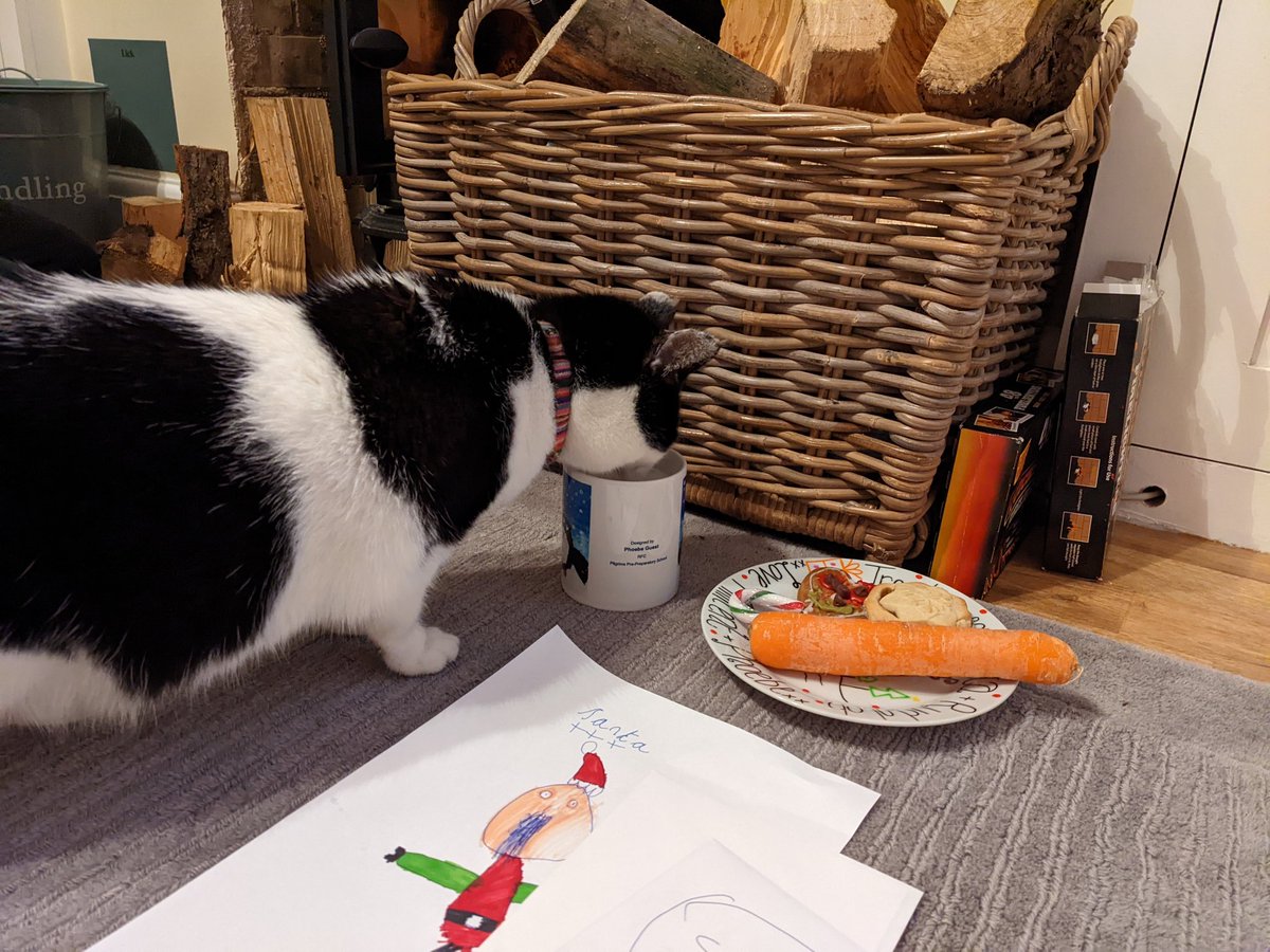 She's robbing Santa's mug of milk!
