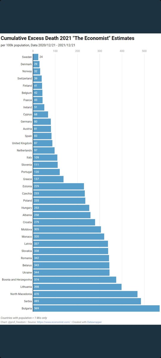 Simona Bo tweet media