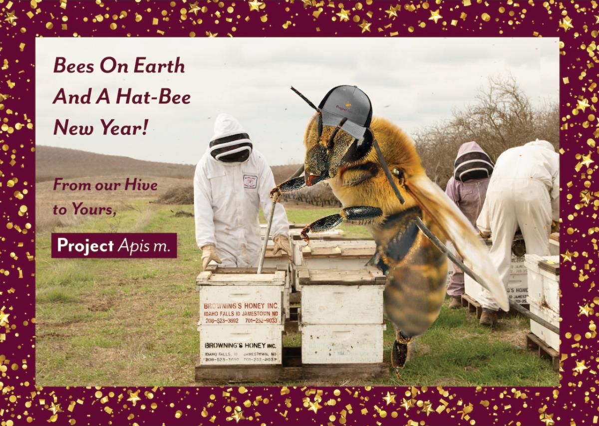 ProjectApism's tweet photo. βοΈ From the whole PAmily, we hope your holidays are merry and bright! βοΈ π π
#holidays #beemerry #projectapism #beeresearch #honeybee #beekeeping #research #commercialbeekeeper #pollinators #forage #commercialbeekeeping #beekeeper #bee https://t.co/UBTTdDi8Wd