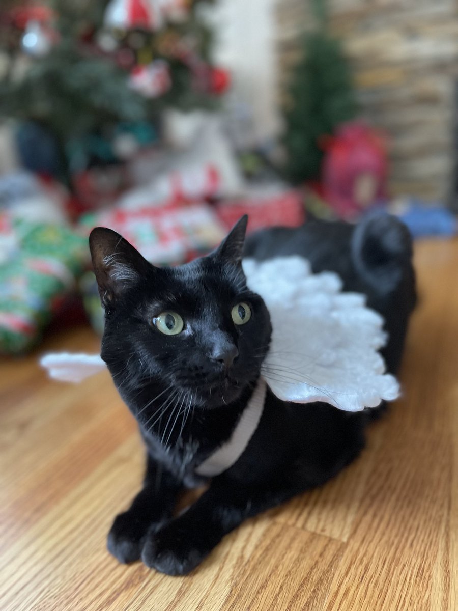 🇺🇦Midnight Daily💙💛 tweet media