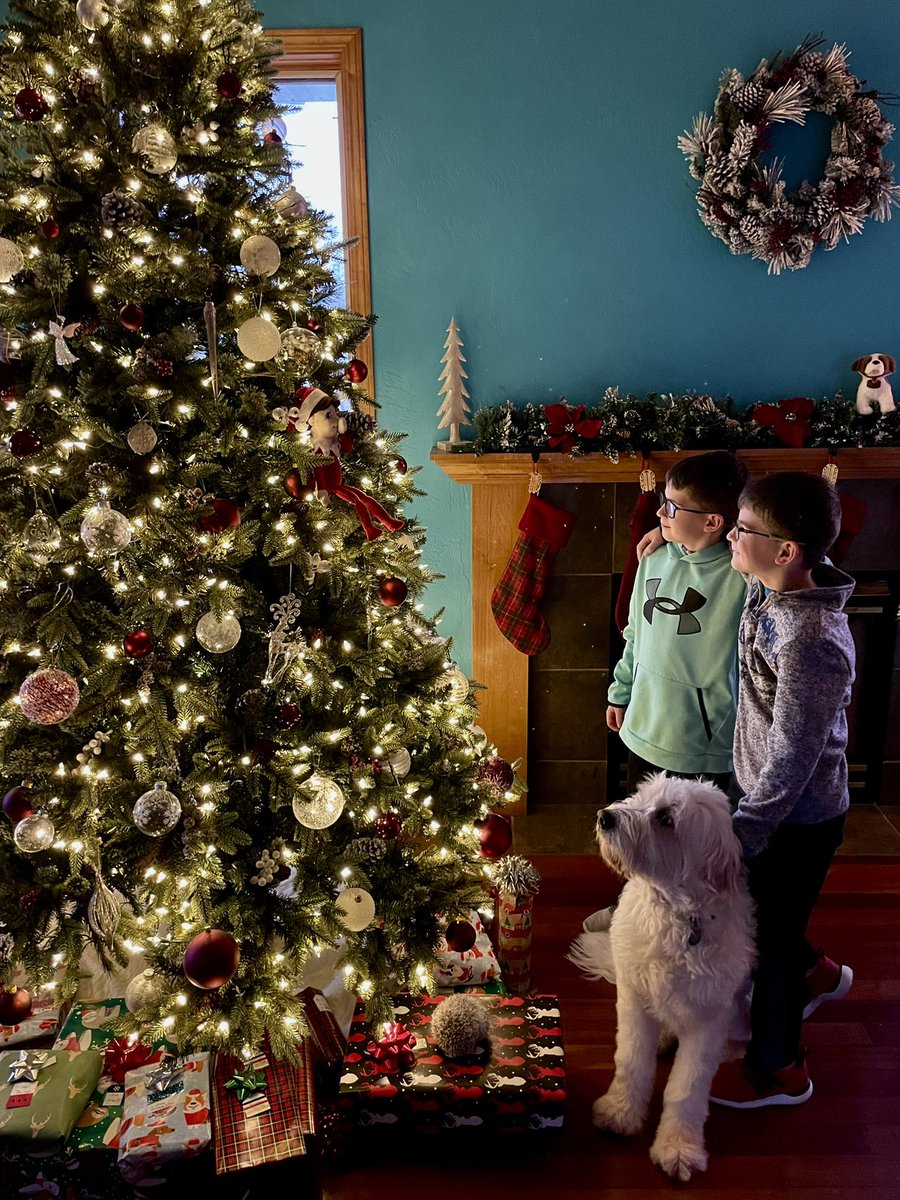 🎄 Merry Christmas 🎄 from our wild, little crew! Including our fluffy pup, Zoey, and our spikey little hedgie Cooper (in a ball on one of the presents). 

Hope you and your family have a great wonderful holiday filled with love and joy!