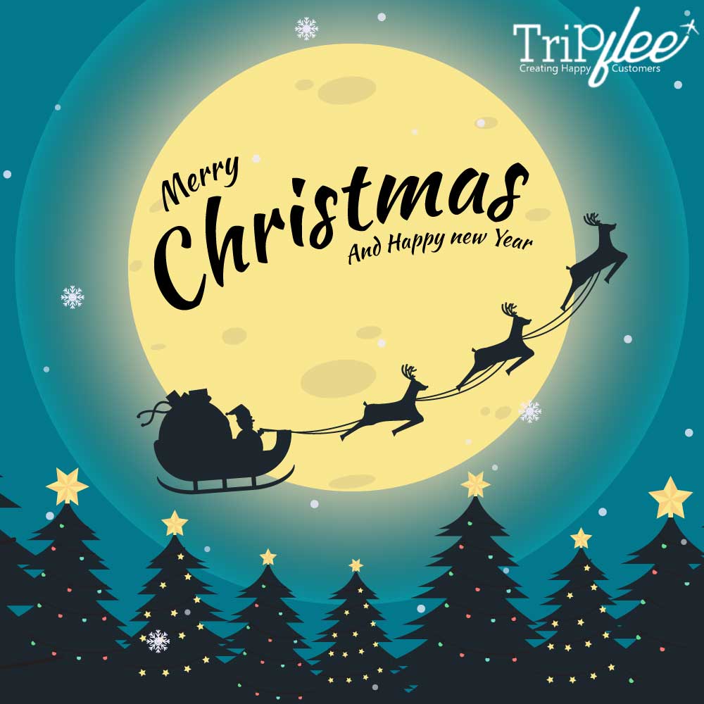 tripflee tweet picture