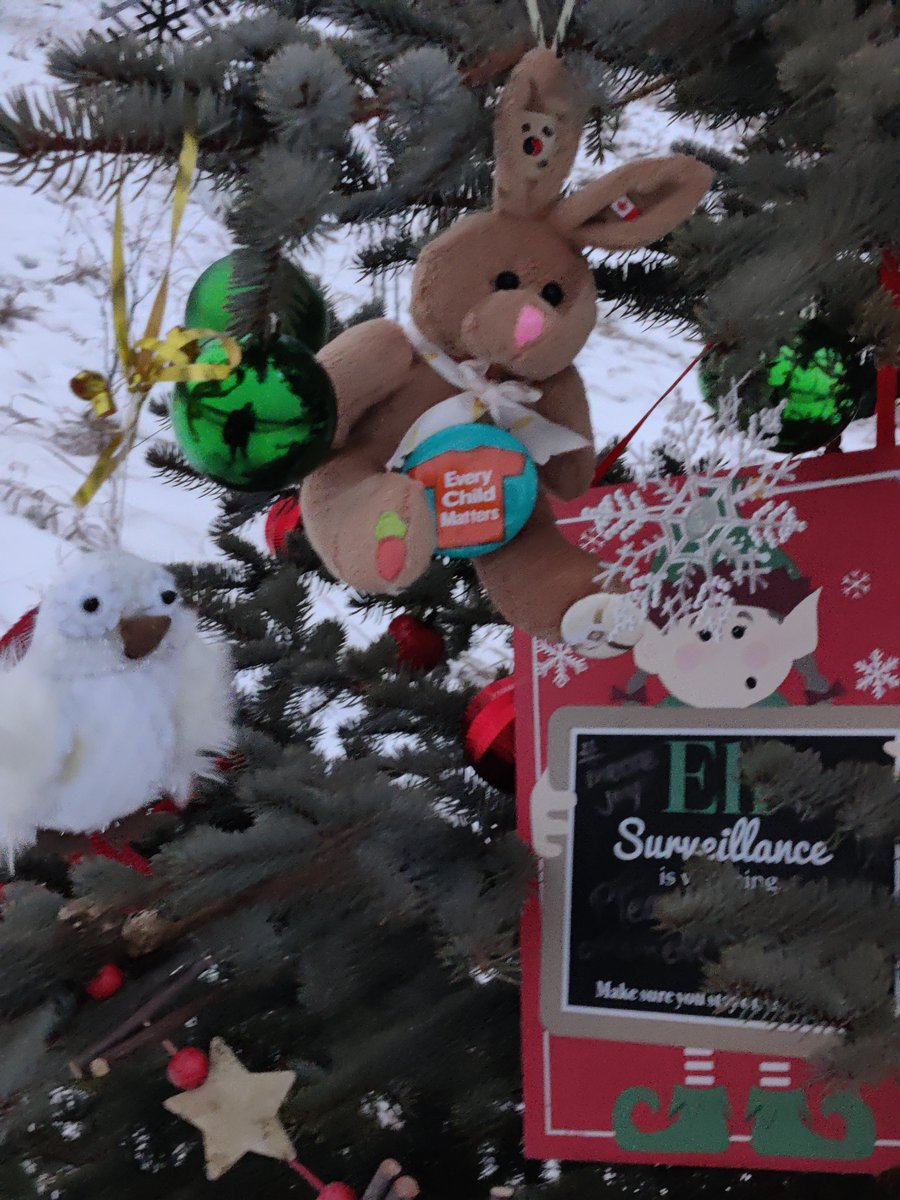 SAGE_Analytics's tweet photo. Wishing you, your loved ones, and your community great comfort and joy at Christmas, and a peaceful 2022!
We made a Christmas donation to The Mustard Seed in Edmonton on behalf of our SAGE team and clients: https://t.co/oTetP5qV3D
Photos taken from an Edmonton hiking trail. https://t.co/AJq1jzZOJ0