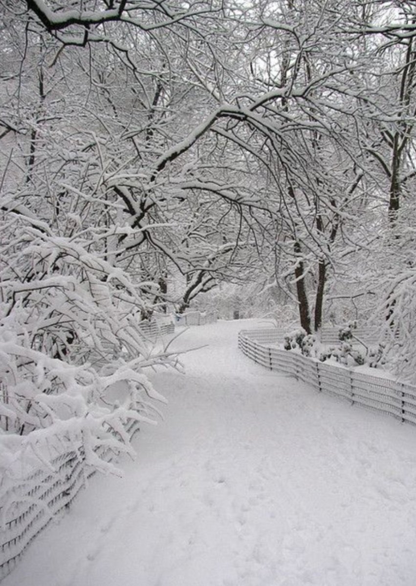 DUPONTBLUES's tweet image. @DUPONTPLUS it's Christmas Eve - yay🎄

🎀MONICA'S FREE CHRISTMAS BLUES DOWNLOAD
"Peace in the World" ~  peaceintheworld.us
#MonicaDupont #GaryNovak #RonThompson #Blues  #ChristmasEve #Christmas #Holiday