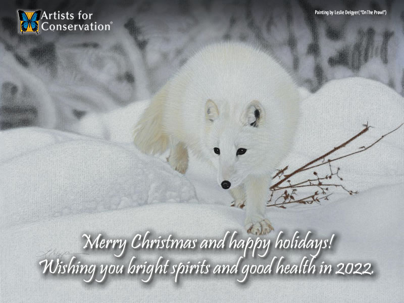 Wishing you and your loved ones (human and all species) a merry Christmas and a safe, healthy and happy holiday season. Enjoy a special Christmas Gallery! bit.ly/33PWTVT  #WildChristmas #ChristmasArt #HolidayArt #NatureArt #WildlifeArt