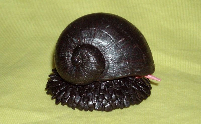 Weird_AnimaIs's tweet photo. The scaly-foot gastropod is a deep-sea snail which lives on hydrothermal vents & has iron-mineralised armour on its foot! https://t.co/dXKxfnaltW