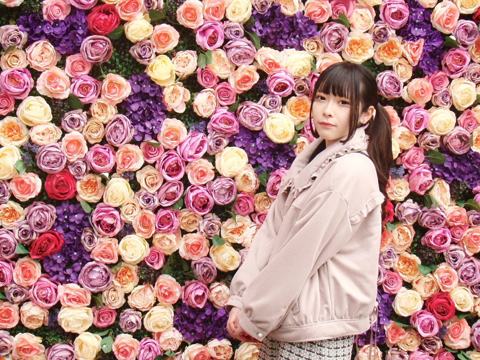 花の壁 Twitter Search Twitter