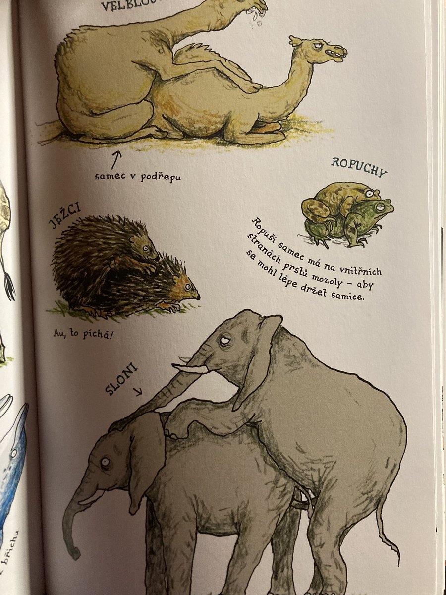 Kristiannnov's tweet photo. Některé progresivistické vánoční dárky asi ještě na pár let uložím... "Kdo mu to dal??" https://t.co/Jbhj0CGWB6