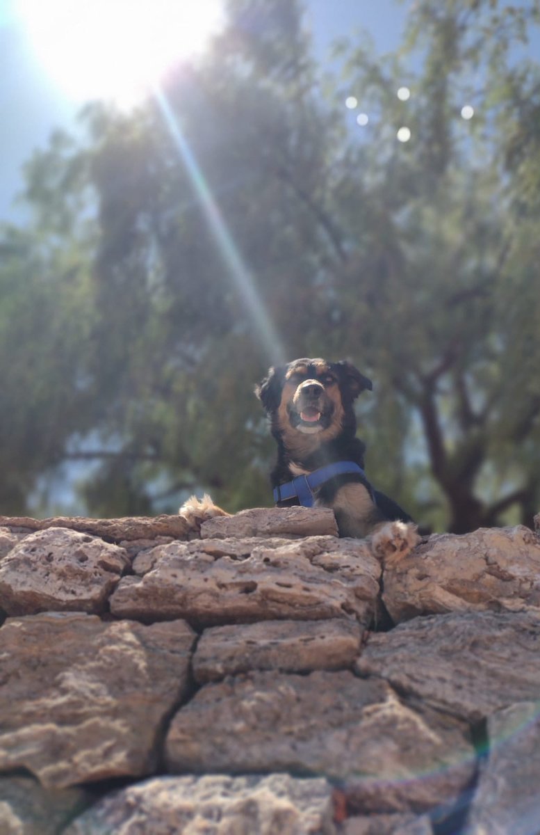 Facundo//FD NEWS tweet media