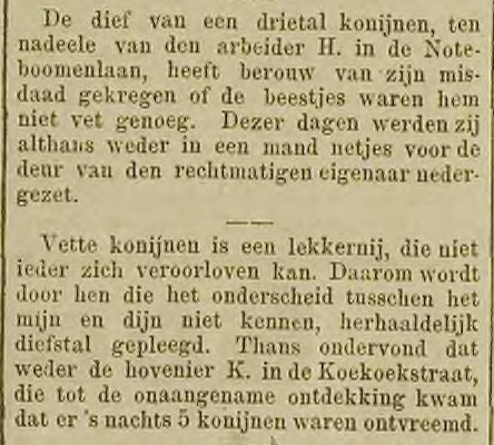 UtrechtschNws's tweet photo. Het bezit van konijnen is in dit jaargetijde niet zonder risico. (1893) https://t.co/cmfM5ZFqph