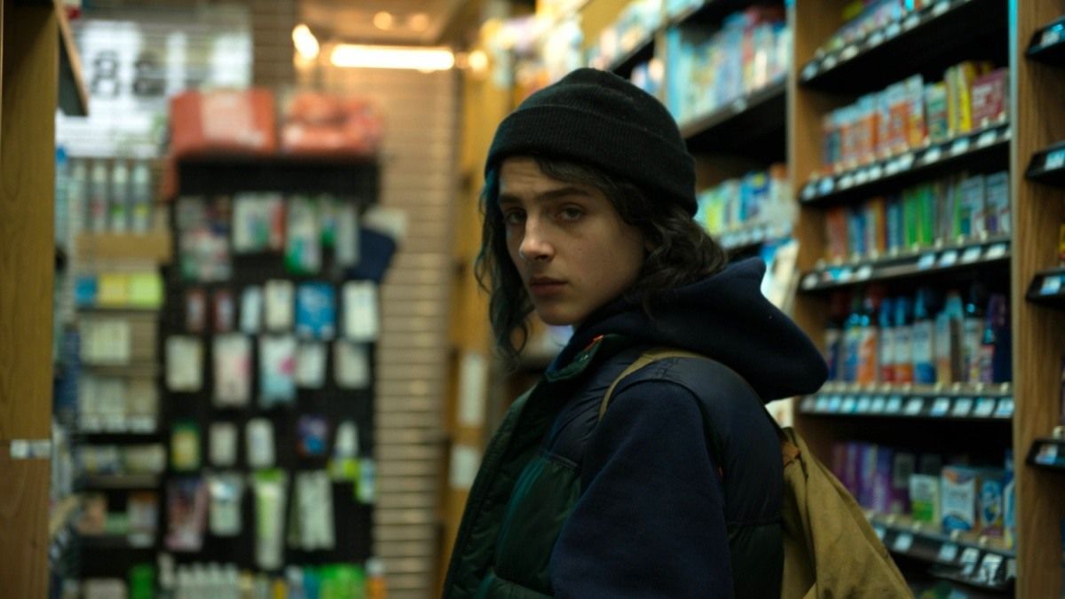 timotheenet's tweet photo. Same vibes. Same hair. #TimotheeChalamet #DontLookUp #AdderallDiaries https://t.co/ub1P1RALW1