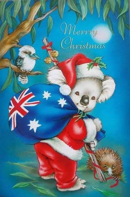 Merry Christmas to all Warriors in support groups across the globe