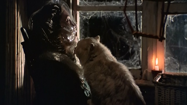 HorrorCats's tweet photo. @BenjyBox @HorrorPixi @BlackChristmas @PromoteHorror @TWiStEdVoODoLL @FilmMomatic @AFizgig @AFilmAddicted @CymreigSamurai @cinema_strikes @GenreFilmAddict https://t.co/PPxrnyMn4c