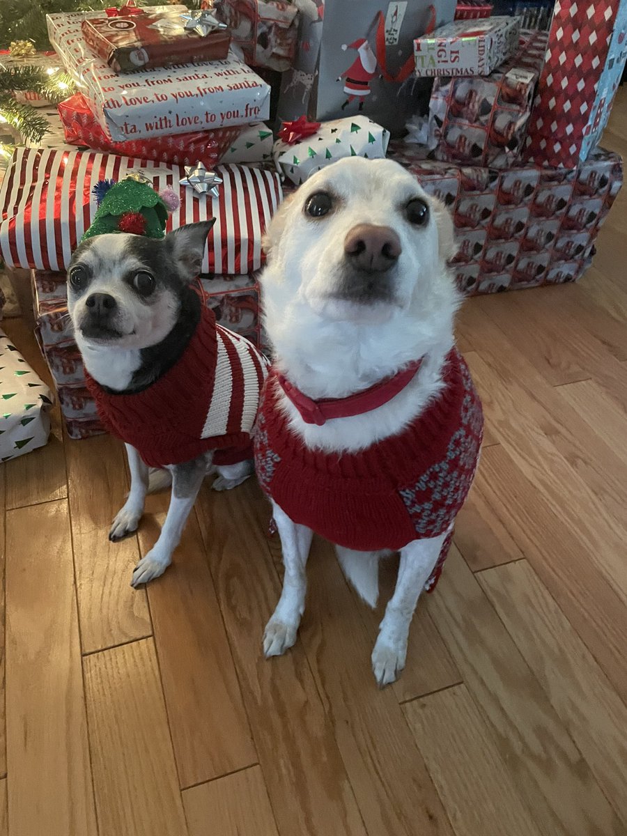 ItsCaseyKay's tweet photo. Merry Christmas Eve ❤️🎄@RarezyGG https://t.co/h7uWJW0kdN