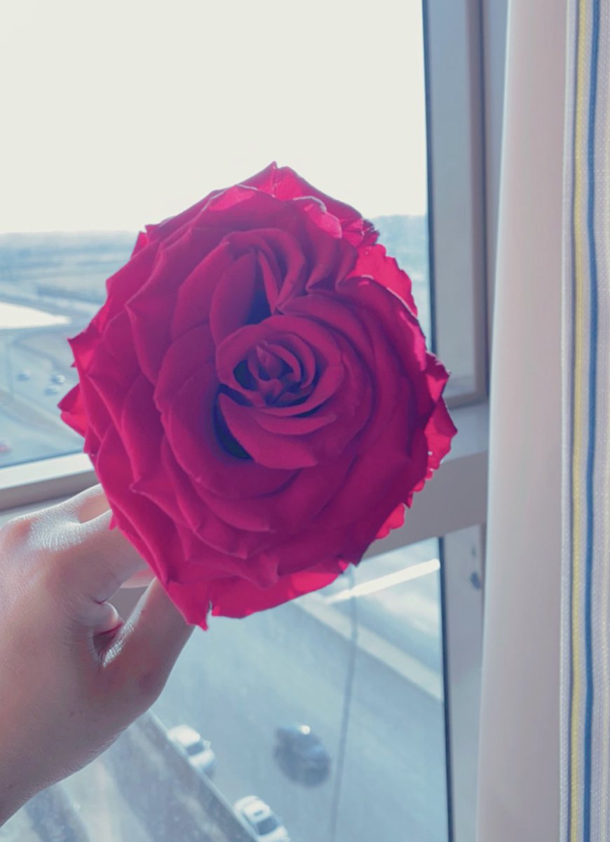 l7en 🤍🎶 tweet media