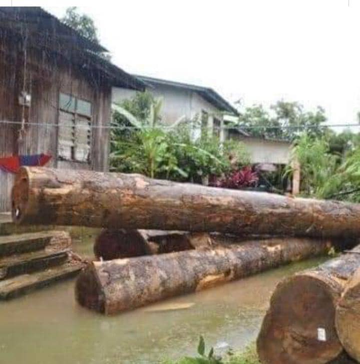 KlutzyKucing's tweet photo. Pahang is a joke now. https://t.co/yBw0Qs9XZD