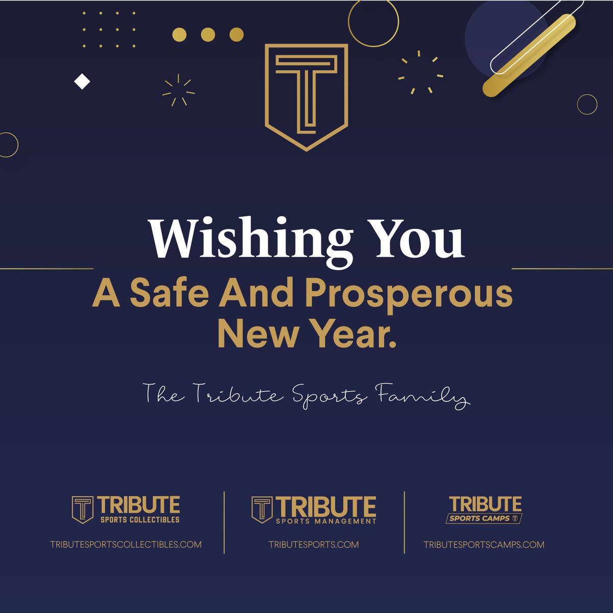 Tribute Sports Management (@tributesports) on Twitter photo 