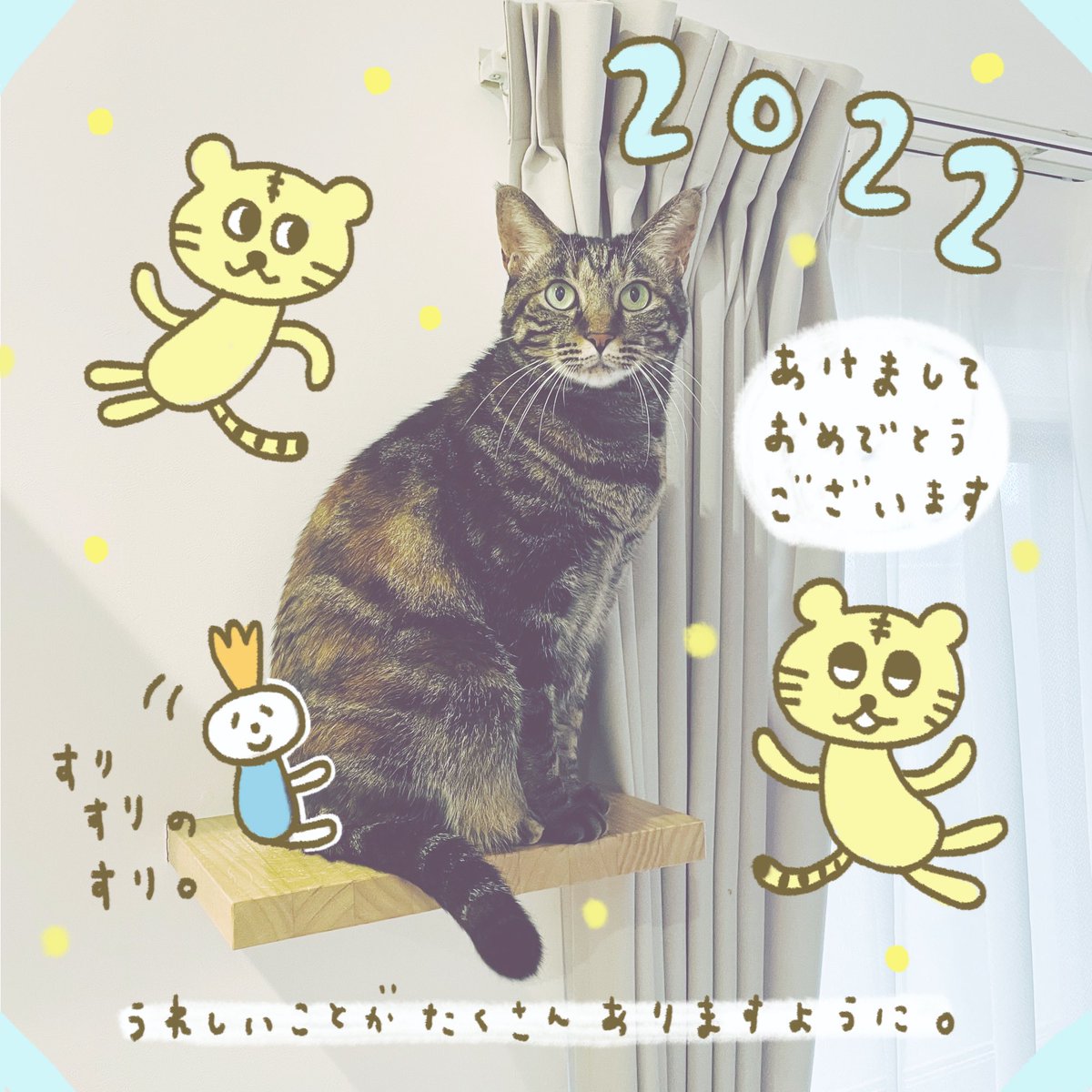 あけましておめでとうございます。今年もどうぞどうぞよろしくお願いします。猫のしっぽにくるまる気持ちで、あったかくお過ごしくださいね。 