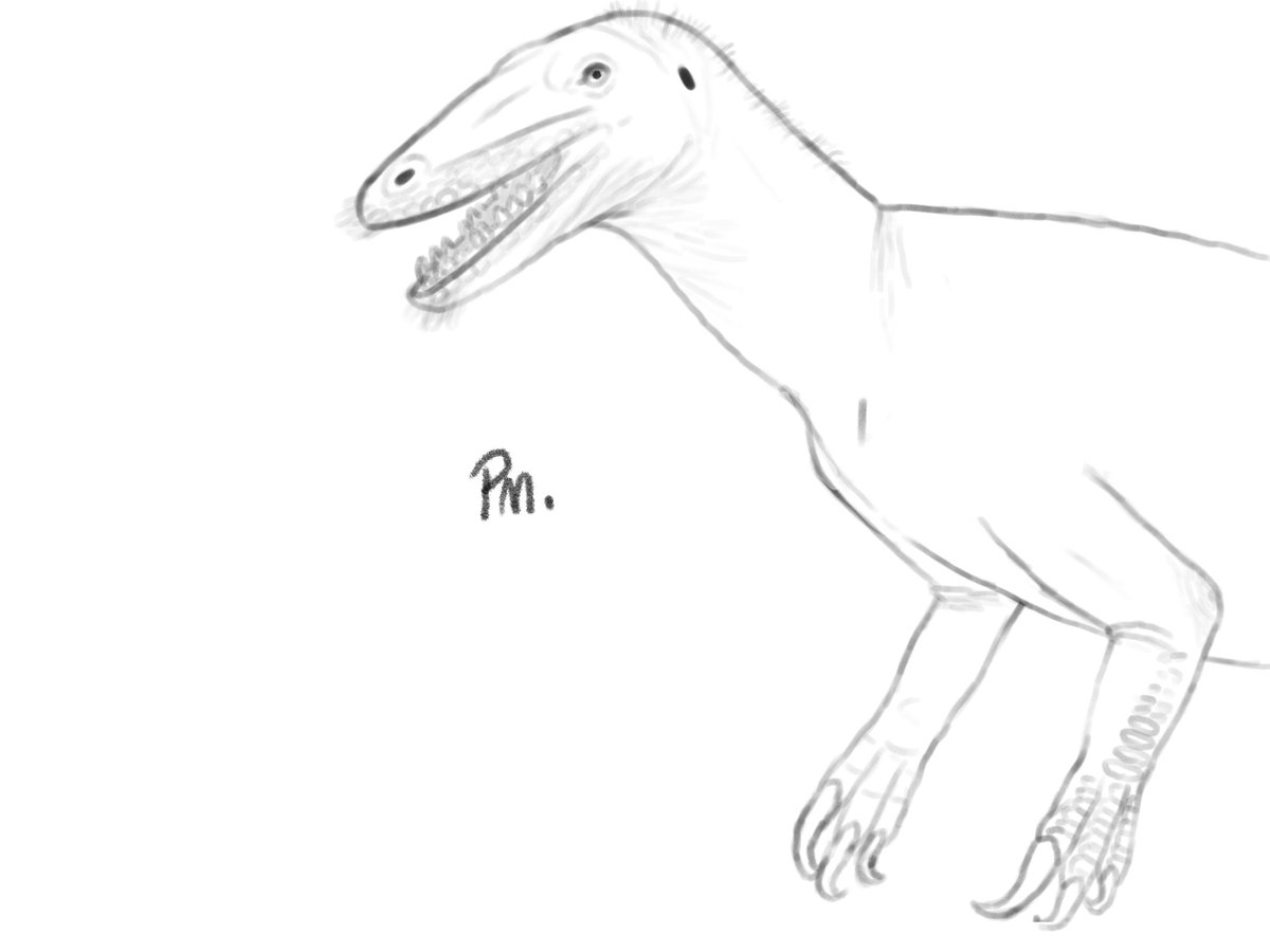 Prekuh1's tweet photo. I’m back from the dead also I drew a mega raptor https://t.co/2zNnCxUzuw