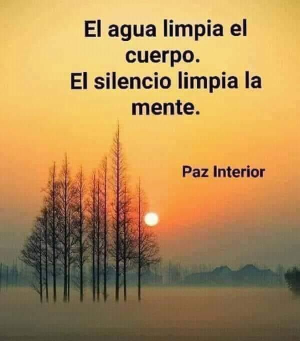 LionsAymard's tweet photo. Se llegó el momento de Buenas Noches - Buenos Días ¡EXCELENTE AÑO! https://t.co/wbiFl5VkdG