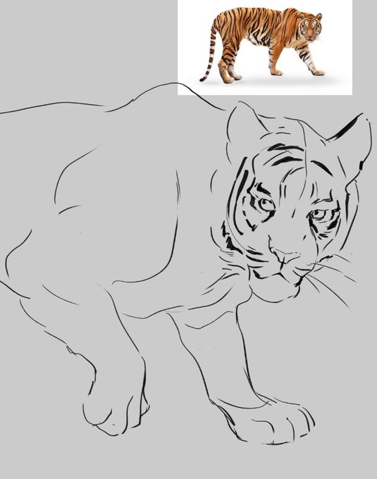i tried to draw a tiger and it became so buff oh my g od 