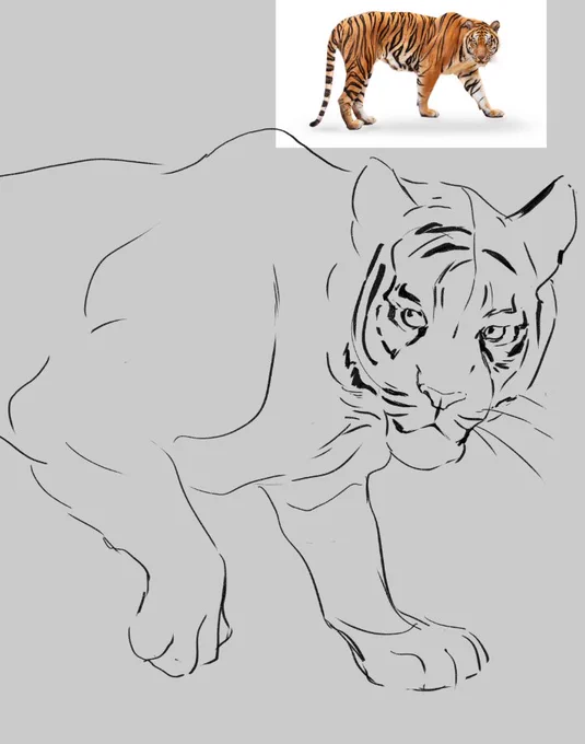 i tried to draw a tiger and it became so buff oh my g od 