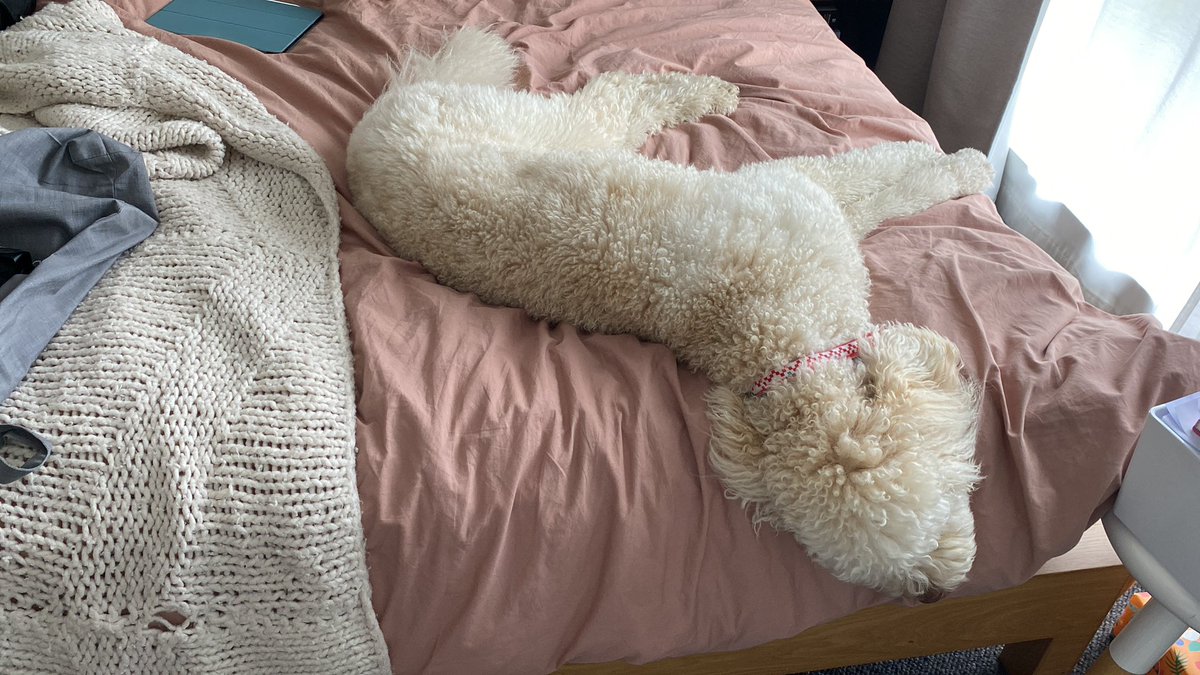 Adam Bystrzycki tweet media